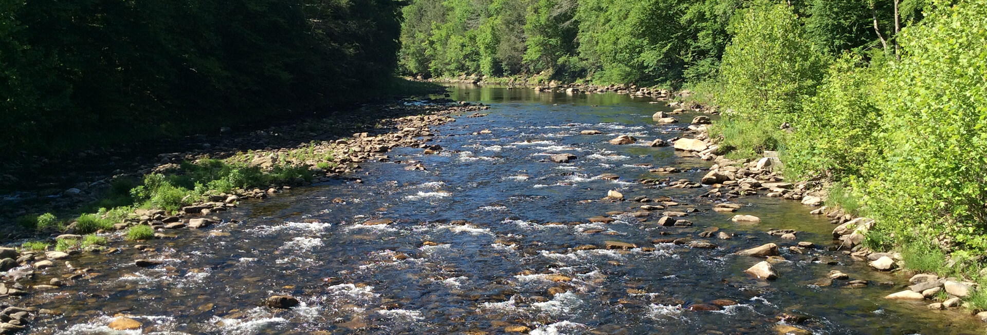 Camping near worlds end hotsell state park